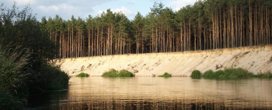 Domki Nad Pilica Krzetow Exterior foto
