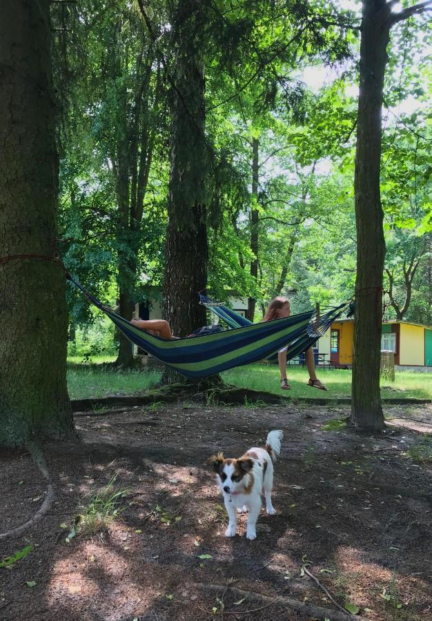 Domki Nad Pilica Krzetow Exterior foto
