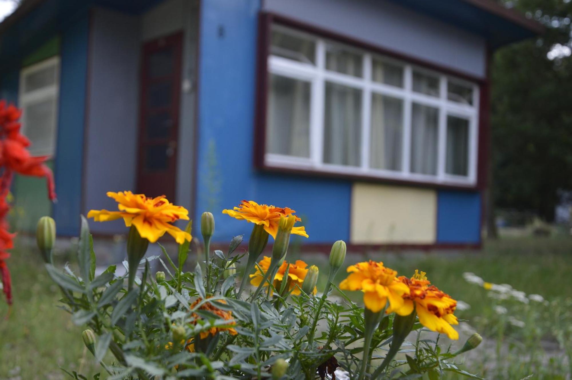 Domki Nad Pilica Krzetow Habitación foto